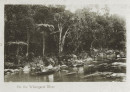 Boating_on_Whangarei_Hatea_River