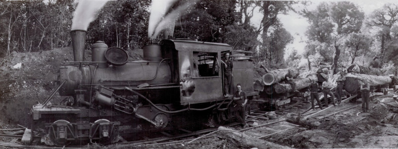 Early_NZ_Forestry_Logging_Train_Railway_circa_1900