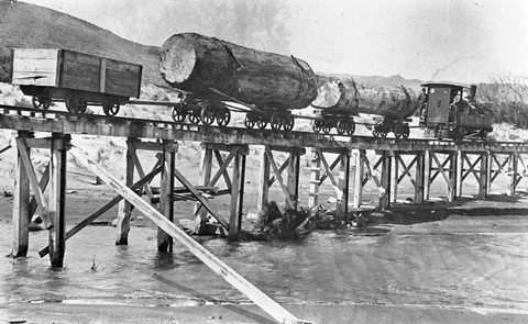 Piha_Tramway_engine_1916-hauling_kauri_logs_crossing_Wekatahi_Creek_on_North_Piha_Beach_A4v2