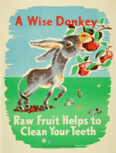 A_Wise_Donkey-NZ_Dept_of_Health_CMS