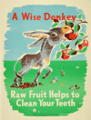 A_Wise_Donkey-NZ_Dept_of_Health_CMS