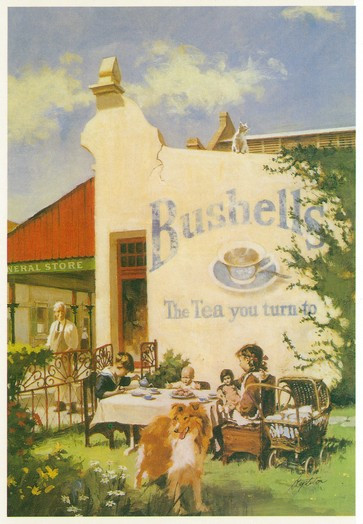 Bushells-tea